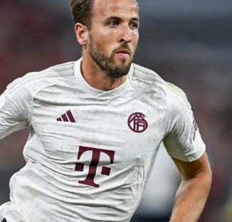 完全说得过 完全说得过