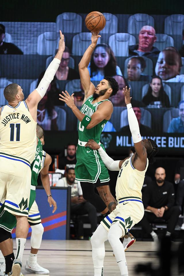 不拔的精神 不拔的精神