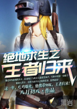 适配 适配